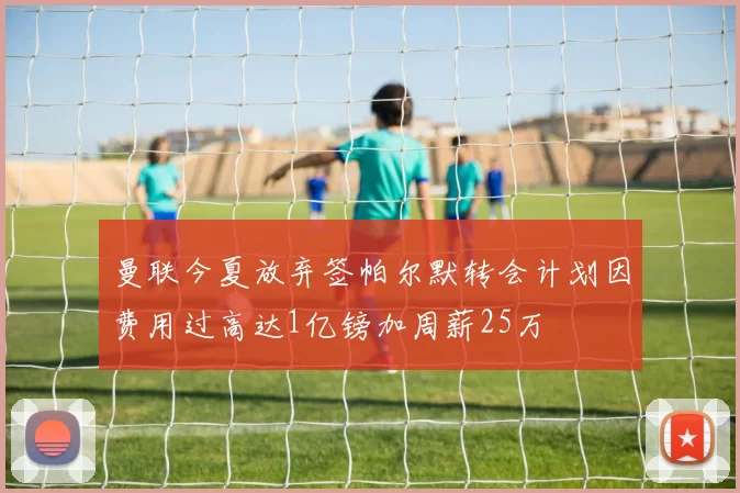 曼联今夏放弃签帕尔默转会计划因费用过高达1亿镑加周薪25万